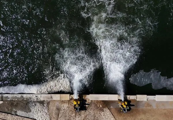 İzmir Körfezi'nde balık ölümleri sürüyor! İZSU bakıyor balıklar bir bir ölüyor